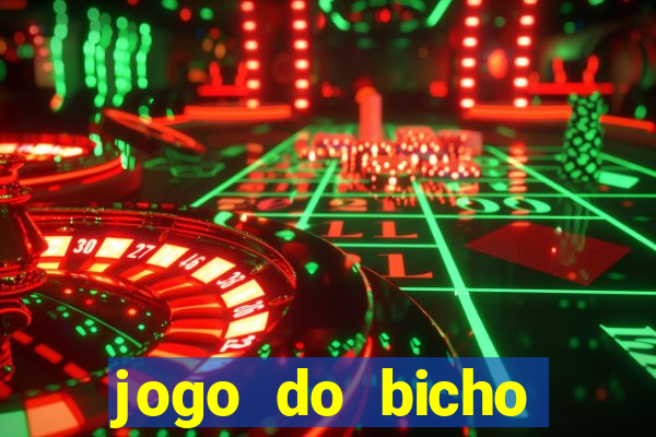 jogo do bicho crash bingo